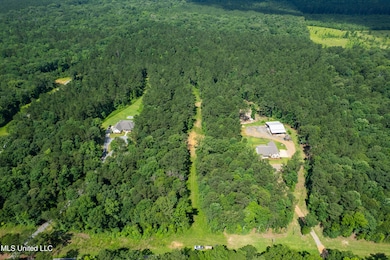 0 Antioch Shiloh Rd, Pelahatchie, MS 39145 - photo 3