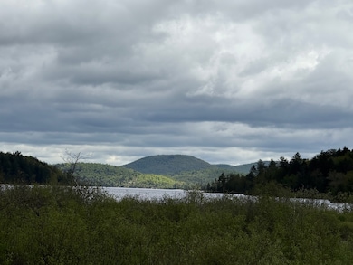 532 New York 8 unit 3, Piseco, NY 12139 - photo 2