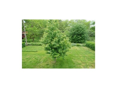 View of back yard from deck