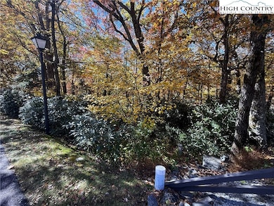 Lot 61 Boone Coffey Trail, Boone, NC 28607 - photo 4
