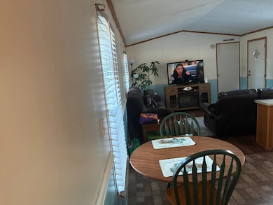 985 Moore Dr, Barnwell, SC 29812 - photo 4