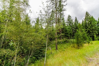 468 Haskill Ranch Rd, Kila, MT 59920 - photo 6