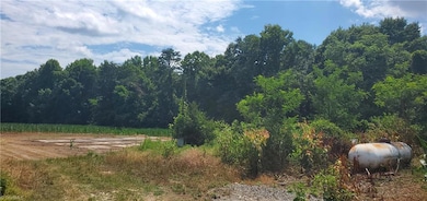 429 Harbour Ln, Dobson, NC 27017 - photo 5