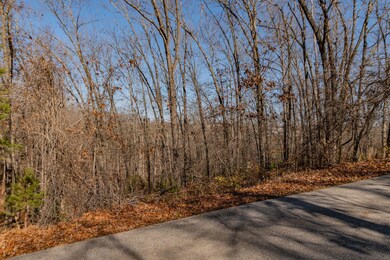 Lot #1 Raven Oak Dr, Kimberling City, MO 65686 - photo 2