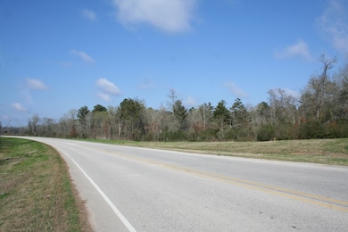 17ac Lone Star Pkwy, Montgomery, TX 77356 - photo 5