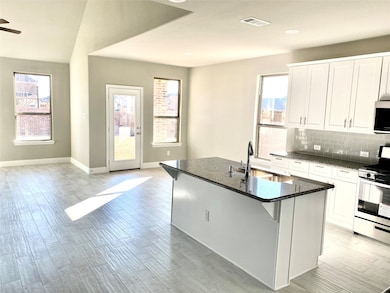 2732 Spring Creek Trail, Prosper, TX 75078 - photo 4