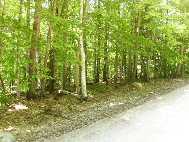 45 David Dr, Wakefield, NH 03872 - photo 5