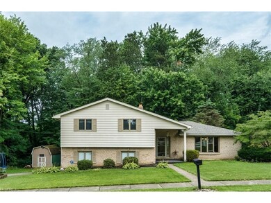 Updated split level surrounded by woods and nature