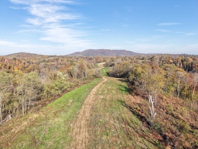 270 Higgins Rd, Woodbury, TN 37190 - photo 4