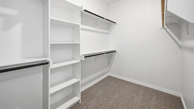 Spacious closet featuring dark carpet
