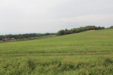 3290 Fords Mill Rd, Versailles, KY 40383 - photo 6