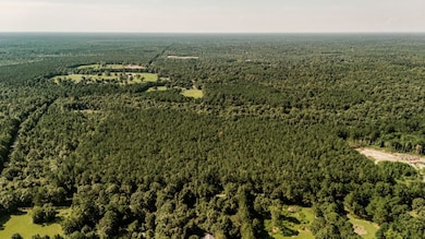 000 Highway 1083, Covington, LA 70435 - photo 4