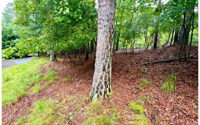 Additional View