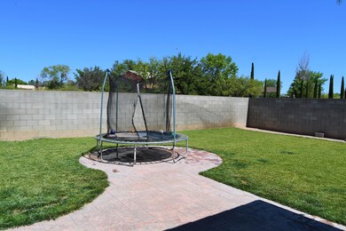 backyard 4
