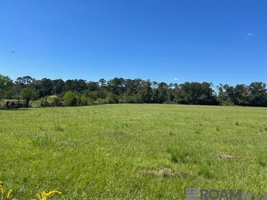 02 Old Highway 51, Amite, LA 70422 - photo 4