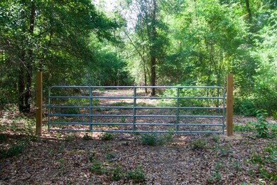 Springhill D-01