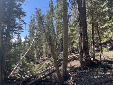 Wooded with pine and aspen