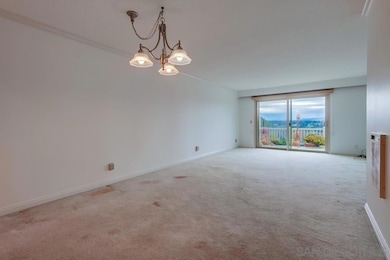 1844 Forestdale Dr, Encinitas, CA 92024 - photo 7