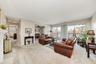 21 Exeter Ct unit 201A, Naperville, IL 60565 - photo 7