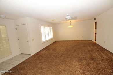 9734 W Cottonwood Dr, Sun City, AZ 85373 - photo 5