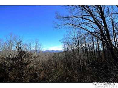 54 Timber Moss Dr, Asheville, NC 28804 - photo 6