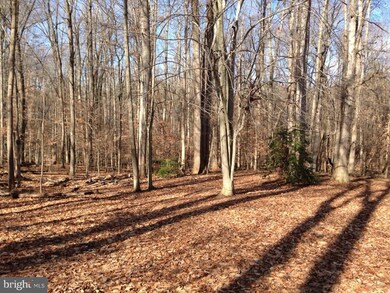 201 Hunters Ln, Centreville, MD 21617 - photo 5