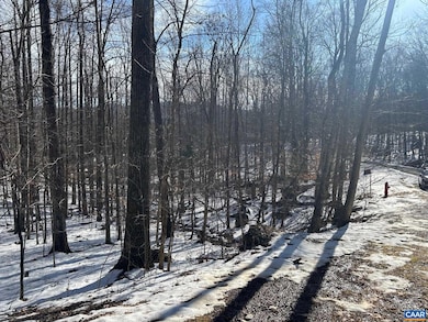 0 Stone Chimneys Rd unit 661050, Nellysford, VA 22958 - photo 5