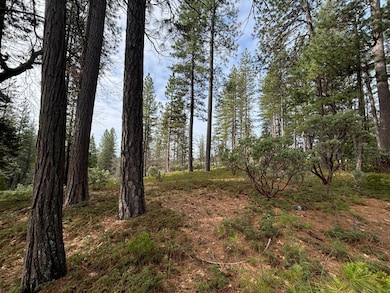 164 Vireo Way, Arnold, CA 95223 - photo 3