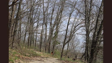 138 Peerless Rd, New Glarus, WI 53574 - photo 7