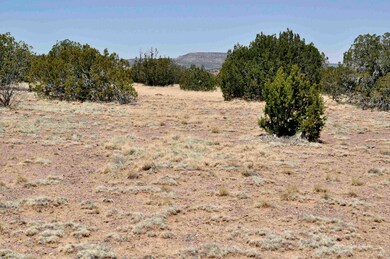 Chilcott Lot 134 005