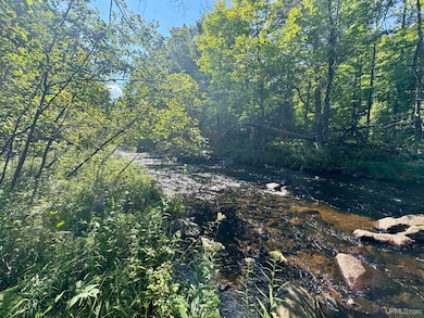 40 acres Bradley Rd, Crystal Falls, MI 49920 - photo 2