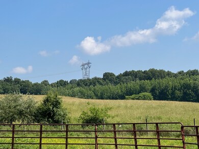 0 1100 N, Buffaloville, IN 47550 - photo 4