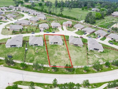 20612 Lenen Dr, Hockley, TX 77447 - photo 2