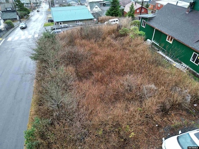 Lot 1, Block 16 3rd Ave, Ketchikan, AK 99901 - photo 7
