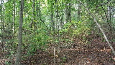 Build your dream home here!