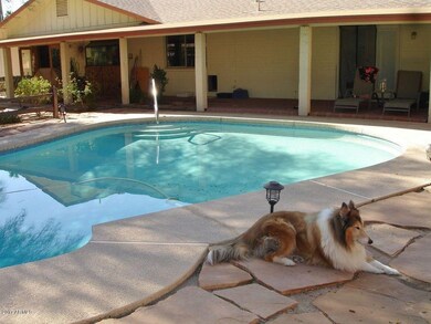 Fisher Backyard 6
