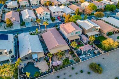 Daisy - Aerial-7