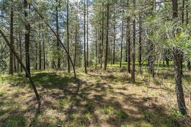 LOT 22 Couples Ct, Chewelah, WA 99109 - photo 2