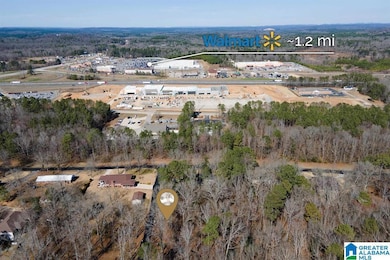 0 29th St N unit 21408163, Pell City, AL 35125 - photo 4