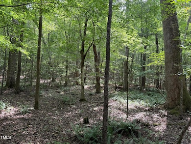 3848 Furrow Ln, Franklinton, NC 27525 - photo 5