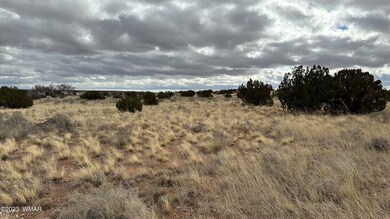 7565 Cedar Ln, Snowflake, AZ 85937 - photo 4