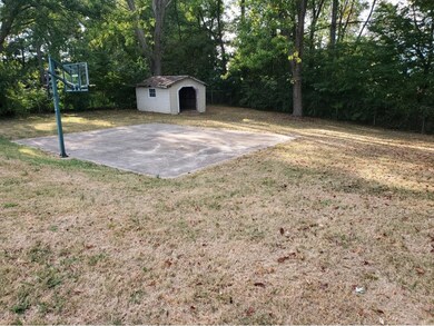 back yard