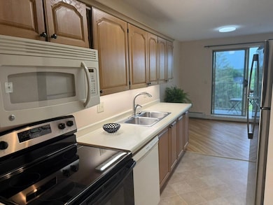 Kenwood Isles unit 409, Minneapolis, MN 55408 - photo 5