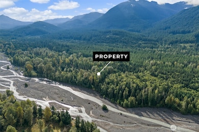 1 Skate Creek Rd N, Morton, WA 98356 - photo 4