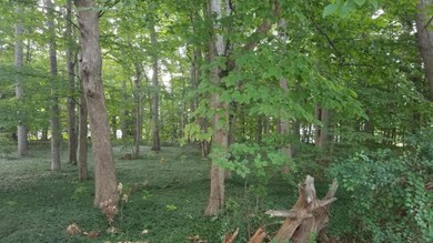 Lot A 5