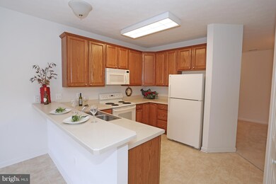 310 Willrich Cir unit F, Forest Hill, MD 21050 - photo 3