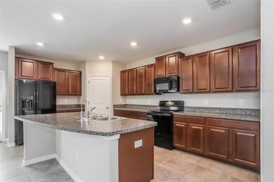 10254 Carloway Hills Dr, Wimauma, FL 33598 - photo 4