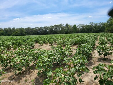 000 Joiner Rd, Chipley, FL 32428 - photo 6