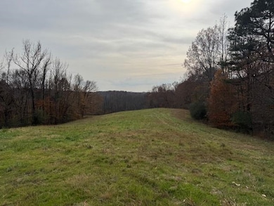 0 Keller Rd, Toone, TN 38381 - photo 2