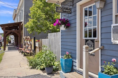 454 William Ave, Davis, WV 26260 - photo 3